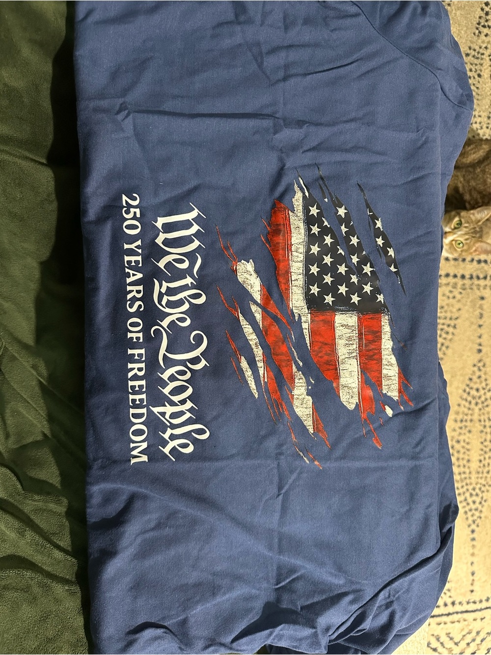 Men's Blue Patriotic 'We the People' Graphic T-Shirt 3XL